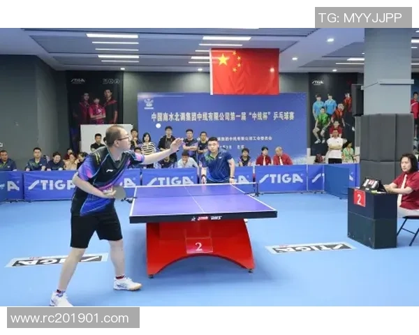 乒乓球传奇陈伟的职业生涯回顾与未来展望对话录