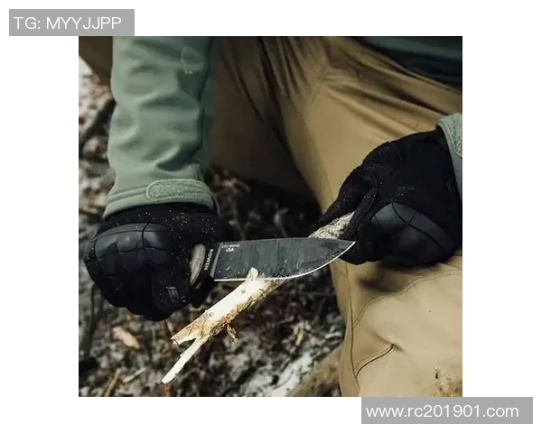 成都极限运动队防反打法深度分析与战术解读 成都极限运动队防反打法深度分析与战术解读